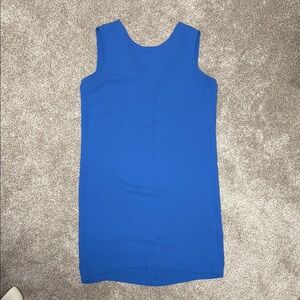 Adrienne Vittadini Blue Sleeveless Sheath Mini Dress